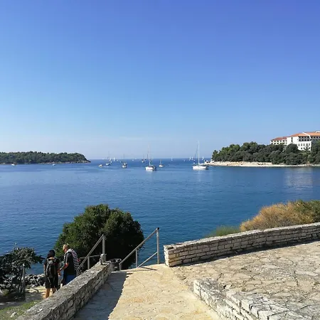 Lägenhet & Primavera